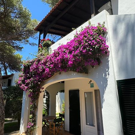 Apartment With Garden And Swimming And Beach Cala Blanca  Extérieur photo