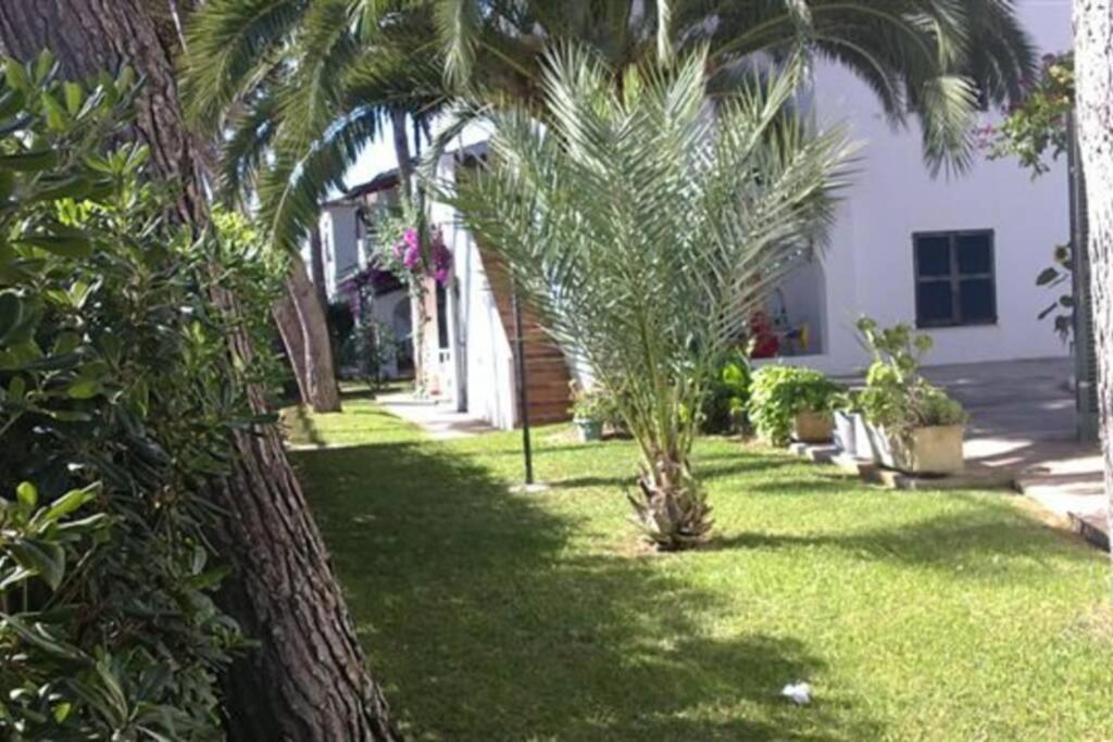 Apartment With Garden And Swimming And Beach Cala Blanca  Extérieur photo