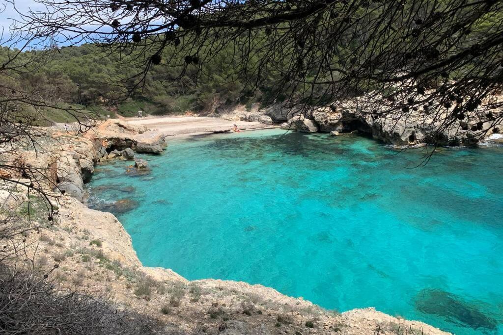 Apartment With Garden And Swimming And Beach Cala Blanca  Extérieur photo