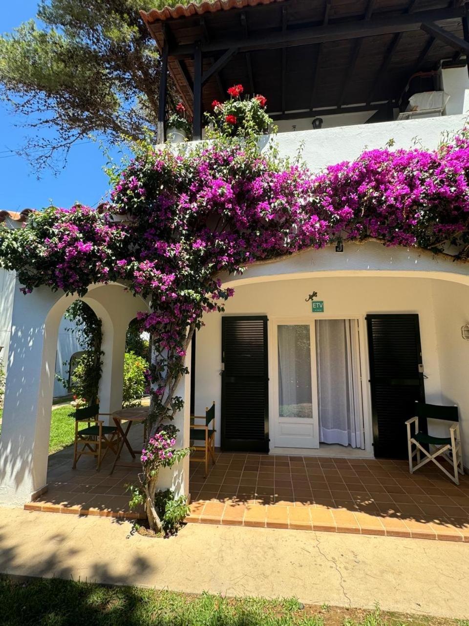 Apartment With Garden And Swimming And Beach Cala Blanca  Extérieur photo