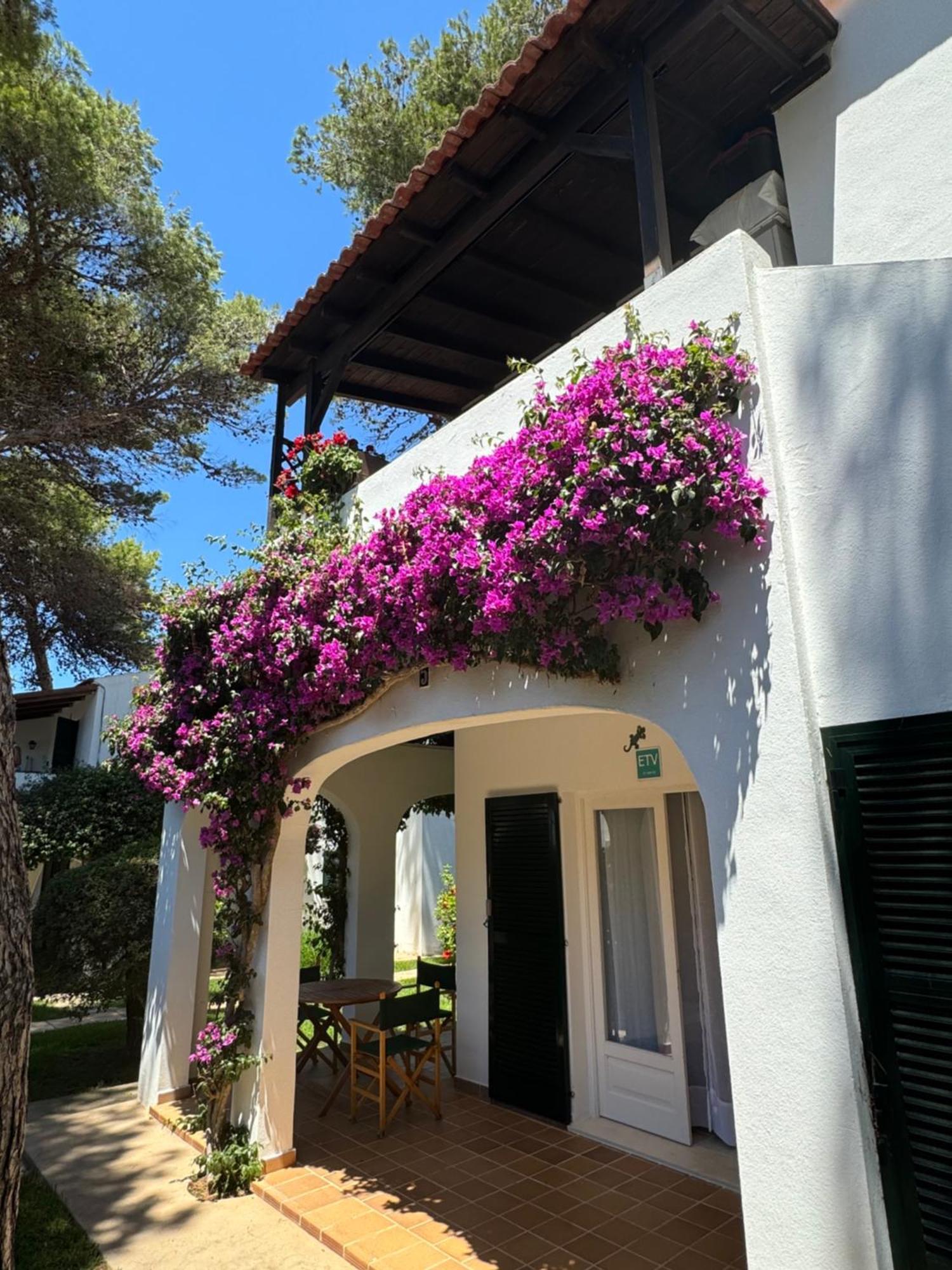 Apartment With Garden And Swimming And Beach Cala Blanca  Extérieur photo